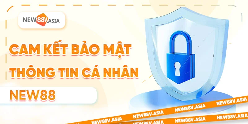 Liên Hệ New88 – Hỗ Trợ Nhanh Chóng Và Chính Xác Mọi Vấn Đề 3 Cam kết bao vệ thông tin cá nhân new88