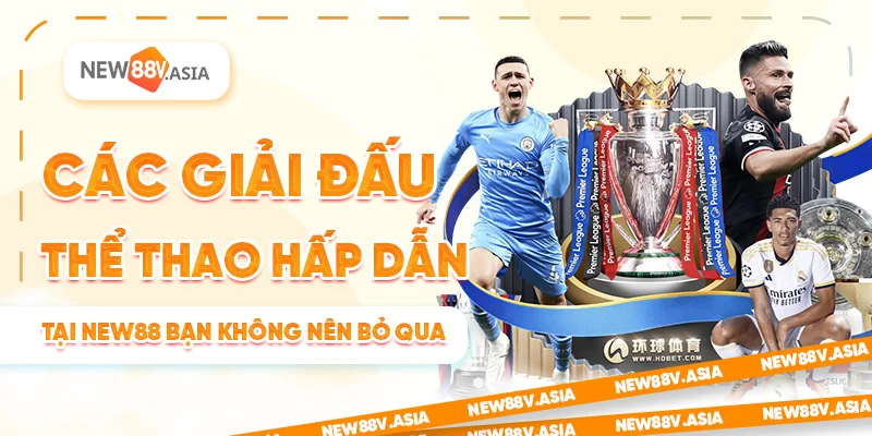 Các Giải Đấu Thể Thao Hấp Dẫn Tại New88 Bạn Không Nên Bỏ Qua 8 Các Giải Đấu Thể Thao Hấp Dẫn Tại New88 Bạn Không Nên Bỏ Qua