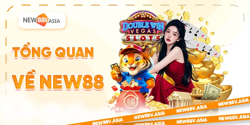 Tổng quan về New88