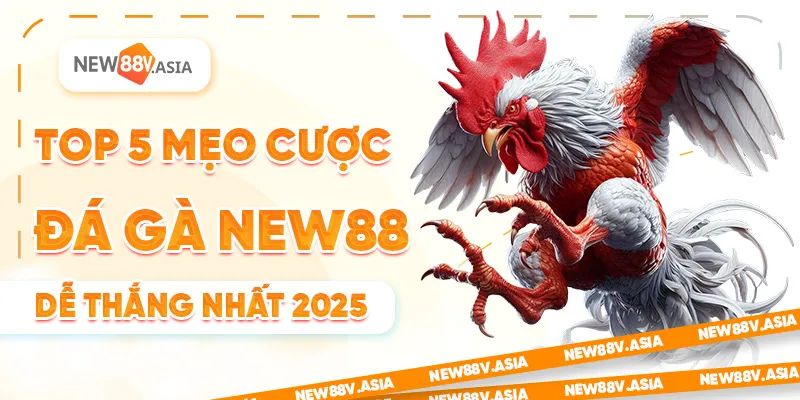 Top 5 Mẹo Cược Đá Gà New88 Dễ Thắng Nhất 2025