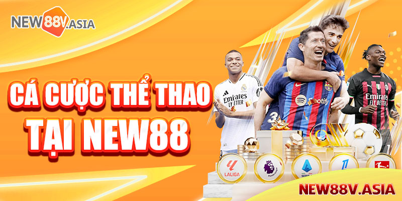 Giới thiệu tổng quát về kèo cá cược thể thao tại New88