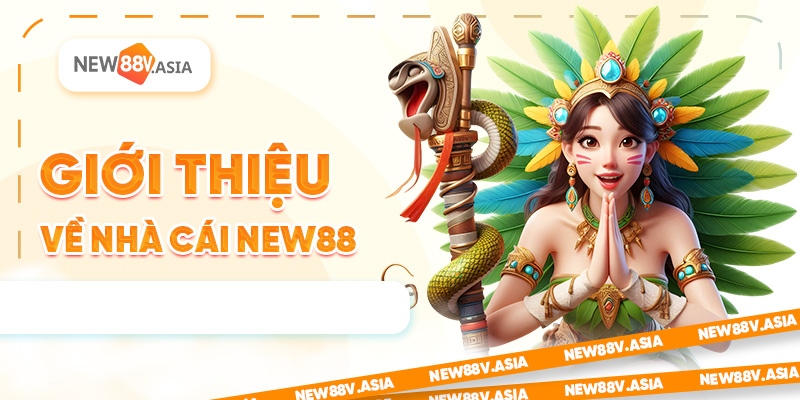 Giới thiệu về nhà cái New88